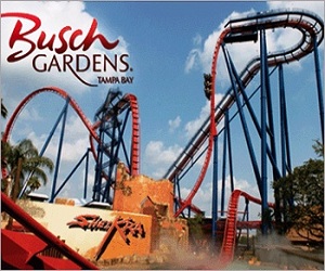 Busch Gardens Florida